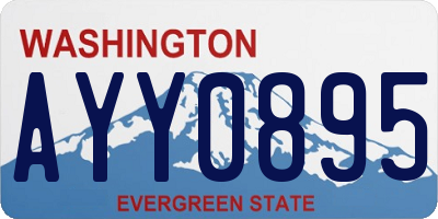 WA license plate AYY0895