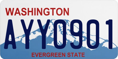 WA license plate AYY0901