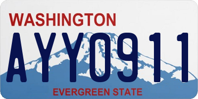 WA license plate AYY0911