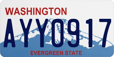 WA license plate AYY0917