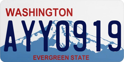 WA license plate AYY0919