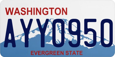 WA license plate AYY0950