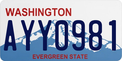 WA license plate AYY0981