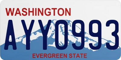 WA license plate AYY0993