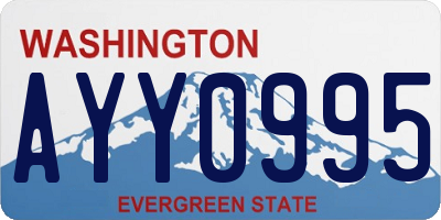 WA license plate AYY0995