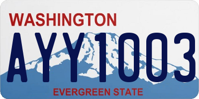 WA license plate AYY1003