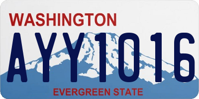 WA license plate AYY1016