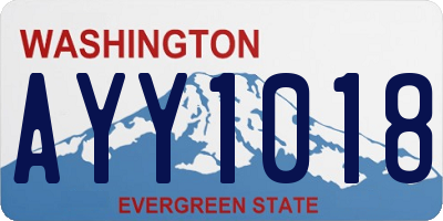 WA license plate AYY1018