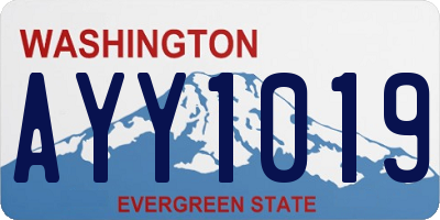 WA license plate AYY1019