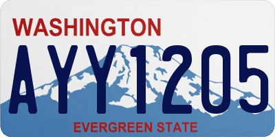 WA license plate AYY1205