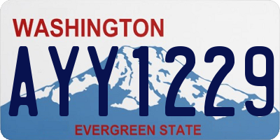 WA license plate AYY1229