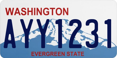 WA license plate AYY1231