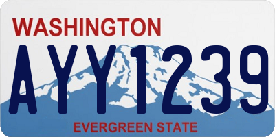 WA license plate AYY1239