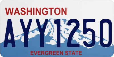 WA license plate AYY1250