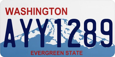 WA license plate AYY1289