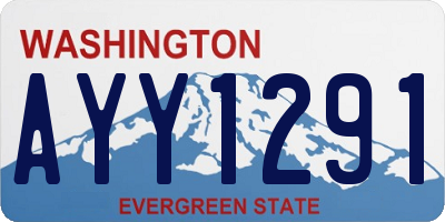 WA license plate AYY1291