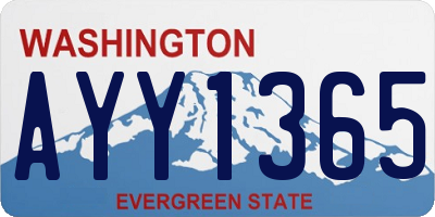 WA license plate AYY1365