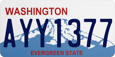 WA license plate AYY1377