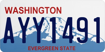 WA license plate AYY1491