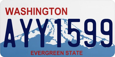 WA license plate AYY1599