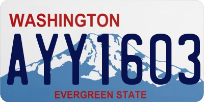 WA license plate AYY1603