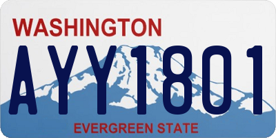 WA license plate AYY1801