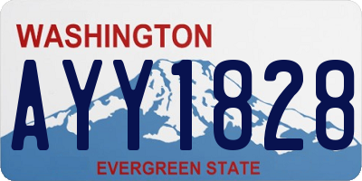 WA license plate AYY1828