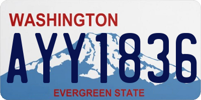 WA license plate AYY1836