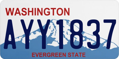 WA license plate AYY1837