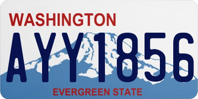 WA license plate AYY1856