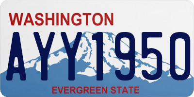 WA license plate AYY1950