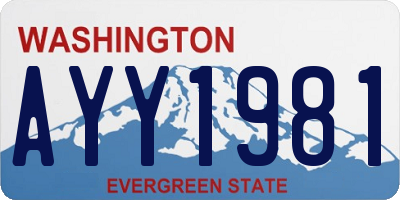 WA license plate AYY1981