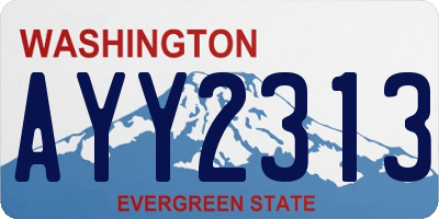 WA license plate AYY2313