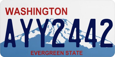 WA license plate AYY2442