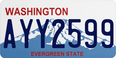 WA license plate AYY2599