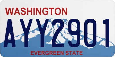 WA license plate AYY2901