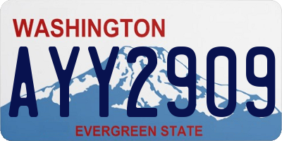 WA license plate AYY2909