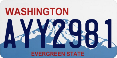 WA license plate AYY2981