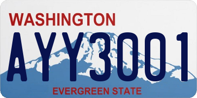 WA license plate AYY3001