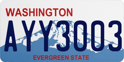 WA license plate AYY3003