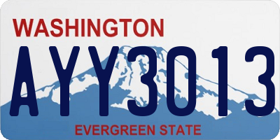 WA license plate AYY3013