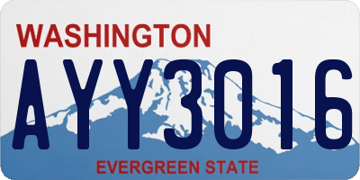 WA license plate AYY3016