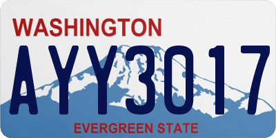 WA license plate AYY3017