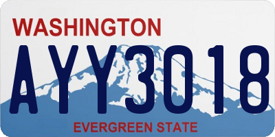 WA license plate AYY3018