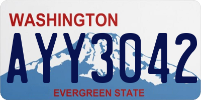 WA license plate AYY3042