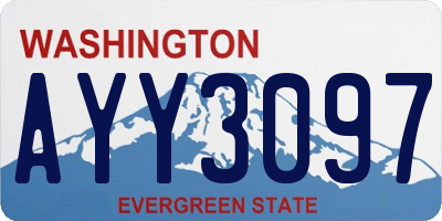 WA license plate AYY3097