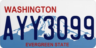 WA license plate AYY3099