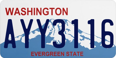 WA license plate AYY3116