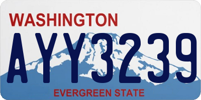 WA license plate AYY3239