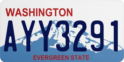 WA license plate AYY3291